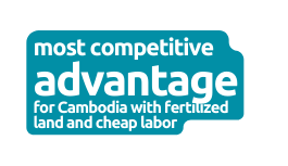 most competitive advantage for Cambodia with fertilized land and cheap labor